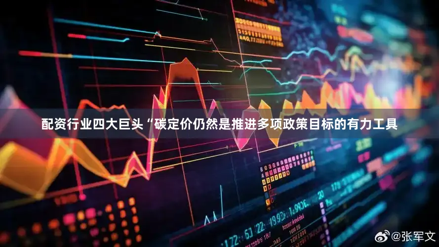 配资行业四大巨头“碳定价仍然是推进多项政策目标的有力工具