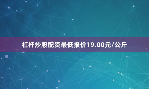 杠杆炒股配资最低报价19.00元/公斤